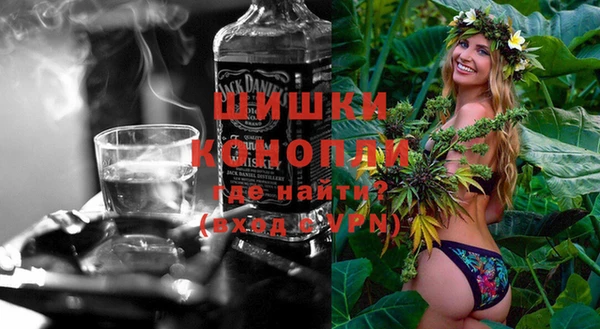 шишки Алексин